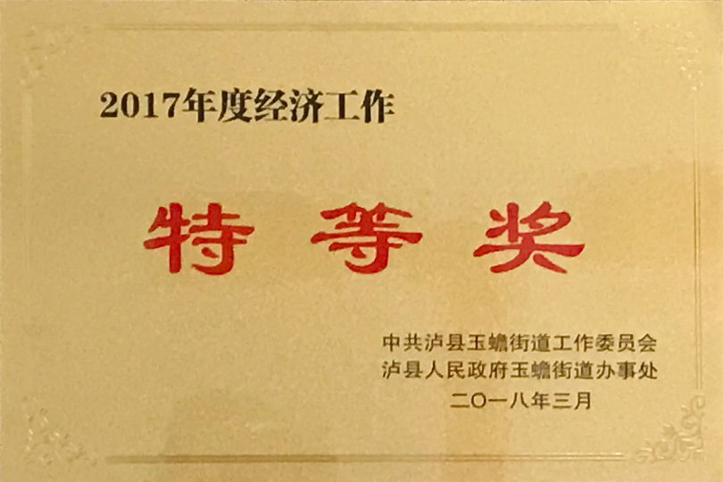 2017年度经济工作特等奖